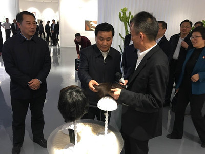 觀摩組走進(jìn)建安區(qū) 聚焦瑞貝卡纖維材料產(chǎn)業(yè)園項(xiàng)目與室內(nèi)環(huán)境檢測